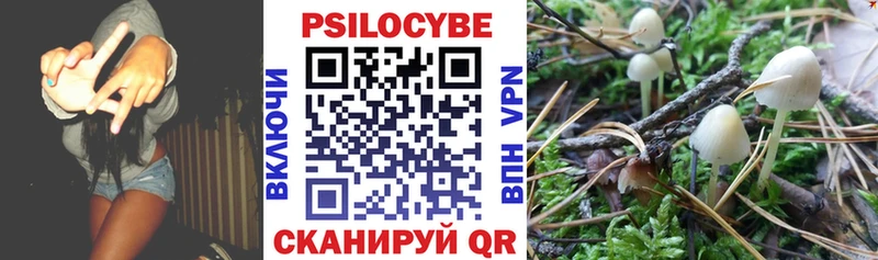 где найти наркотики  Клин  Псилоцибиновые грибы мицелий 