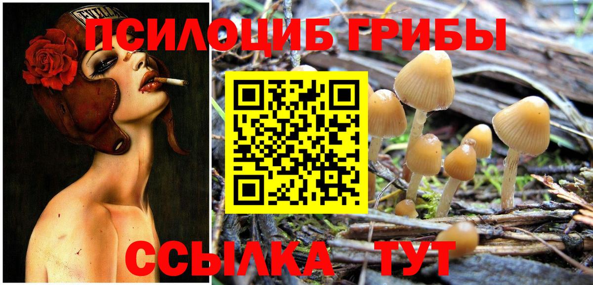 Галлюциногенные грибы ЛСД Клин