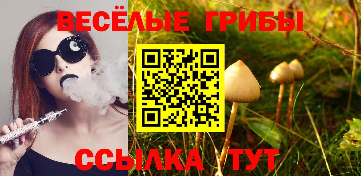 Alpha PVP СК   Мефедрон  КОКАИН  Метамфетамин  Лсд 25  Мефедрон кристаллы  Гашиш  Конопля  Вход с VPN  Клин  Гашиш 