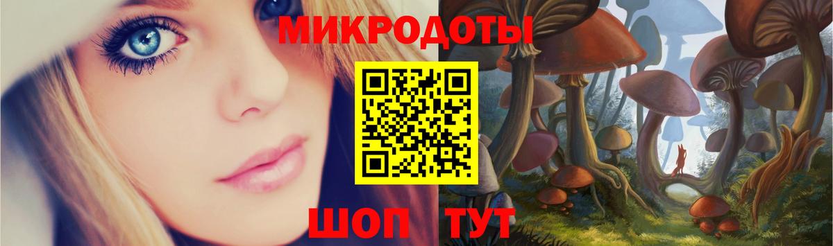 Клин  закладки  Вход с VPN  Галлюциногенные грибы Psilocybe 