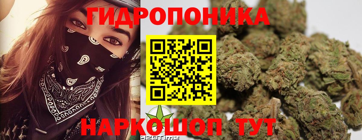 Клин  Шишки марихуана сатива  Бошки марихуана гибрид  Шишки марихуана OG Kush  Вход с VPN 
